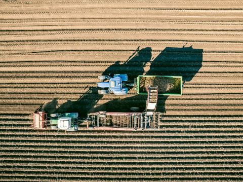 Istockphoto 1467870512 2048x2048